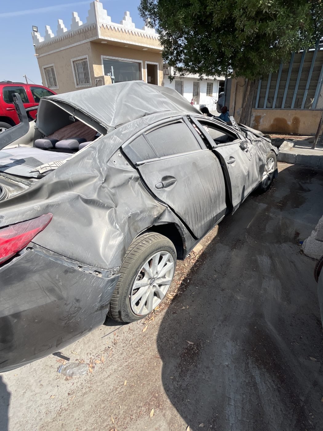 دودة دركسون