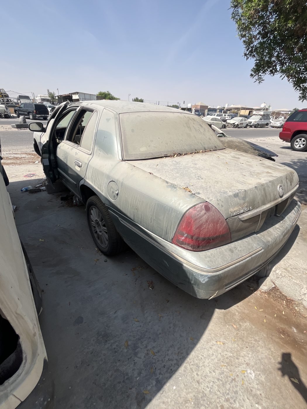 سلف